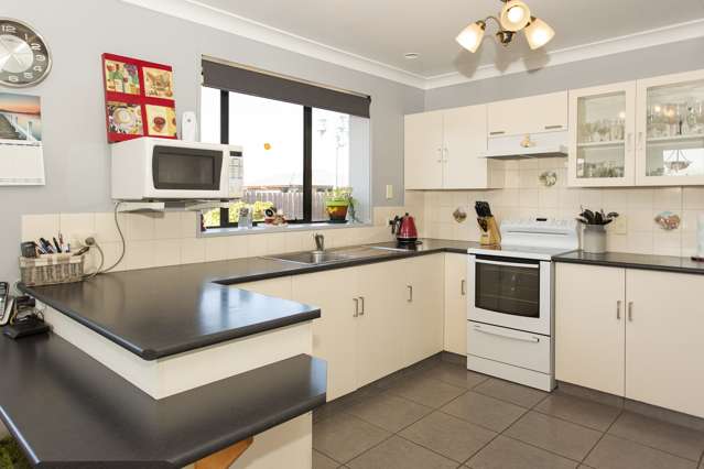 183 Grove Street Tinwald_1