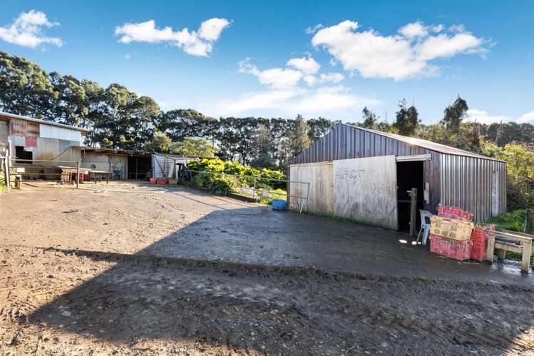 156 Schlaepfer Road Pukekohe_23