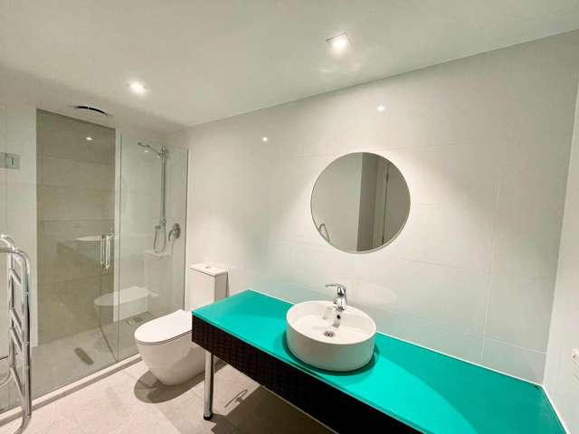 3D/444 Great North Road Grey Lynn_4