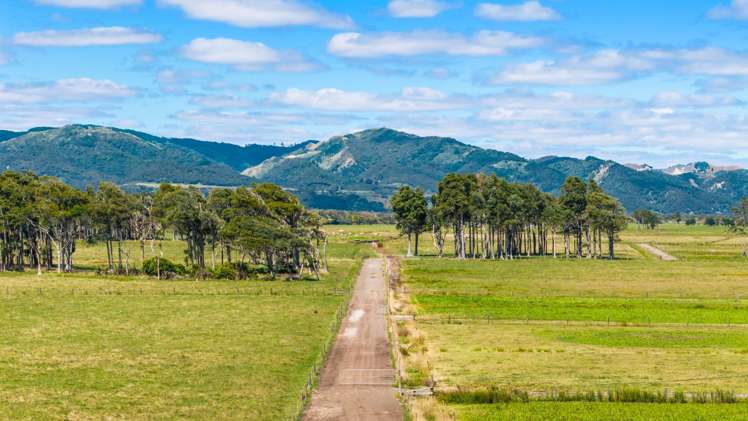 351 Otaua Road Waiuku_12