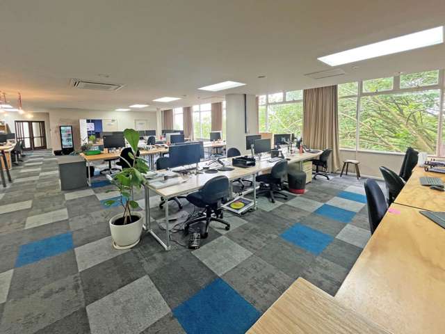 Level 4/100 Ascot Avenue Remuera_1