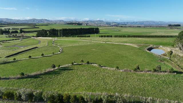 Lot 3 Phelps Way Greytown_2