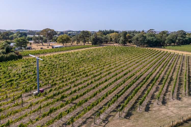 46 Waipipi Road Opaki_17