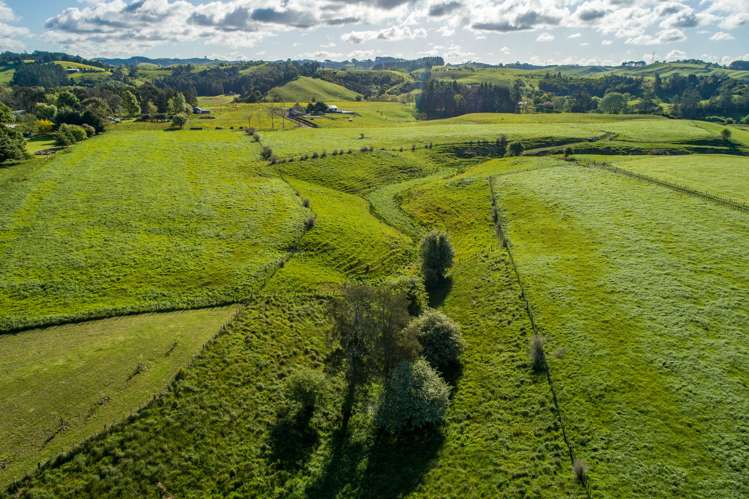 125 Wilson Road Hunua_21