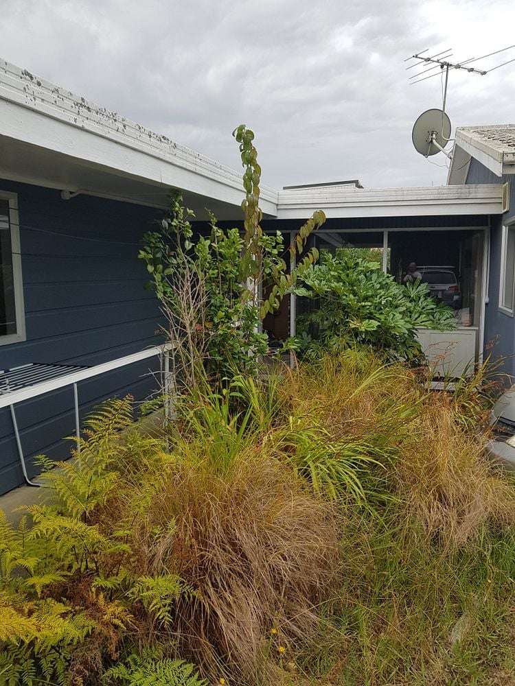 20A Penzance Road Mairangi Bay_7