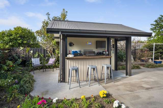 167 Hollister Lane Ohauiti_4