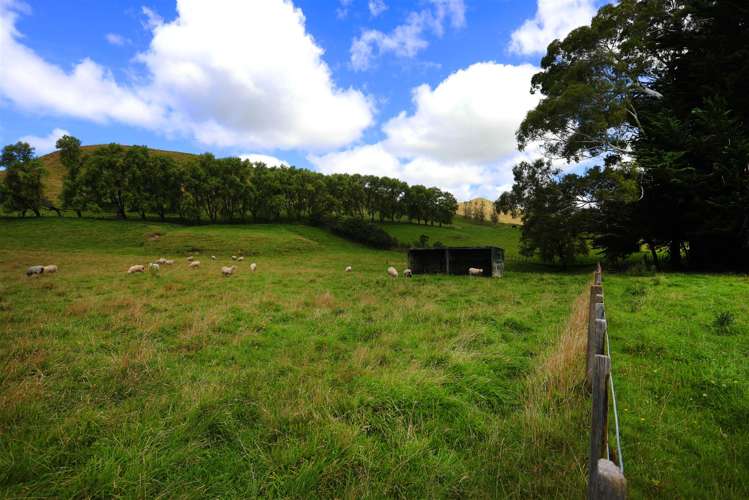 2580 Pourerere Road Central Hawkes Bay Coastal_32