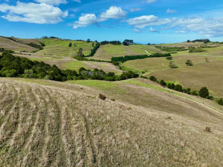 56 Lawrence Road Kaiwaka_26