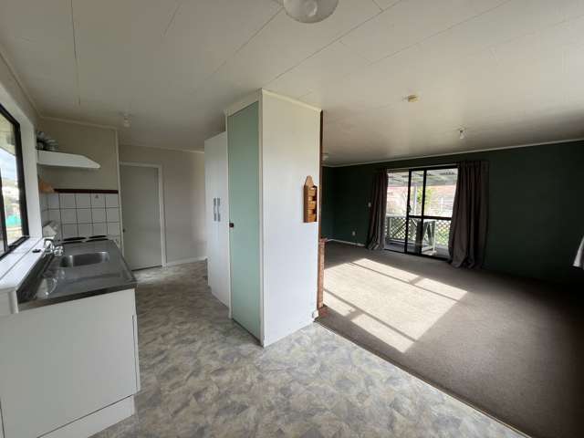 100B Hakanoa Street Huntly_4