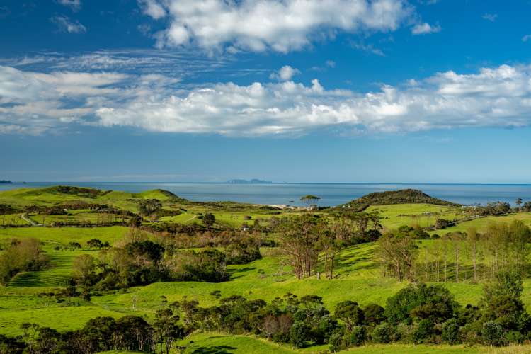 196b Ocean Beach Road Whangarei Heads_16