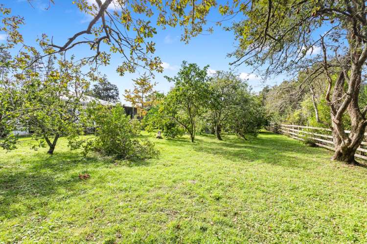 1102 Peak Road Waikoukou Valley_5