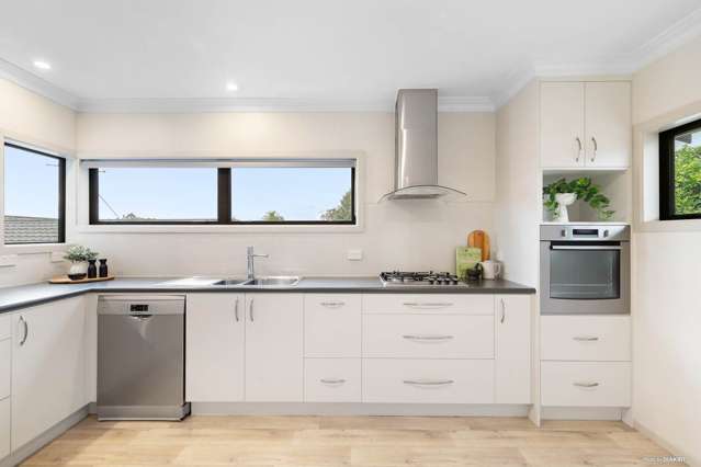 12 Hogan Street Pukekohe_1