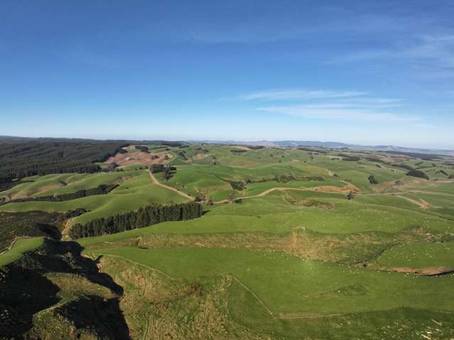 759 Waitahuna Gully Road Waitahuna_2