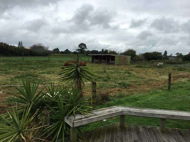 1423 Kaituna River Road Te Puke_2