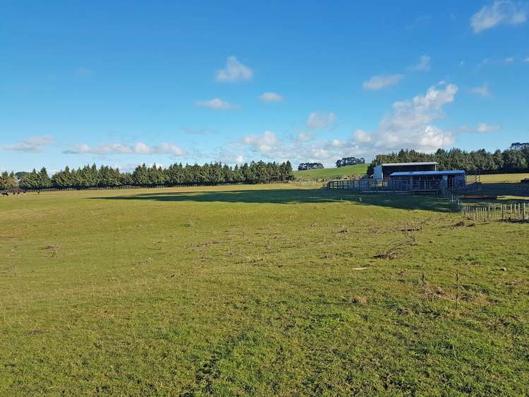 76064 State Highway 2 Rangitikei Surrounds_9