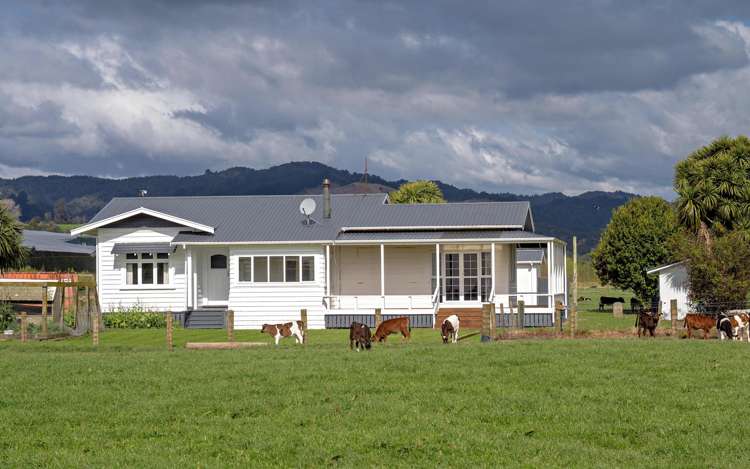 Brooklyn Farm, 126 McGinley Road Opotiki_8