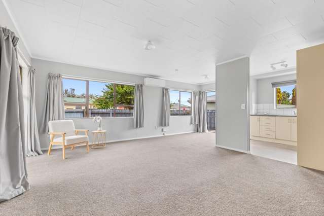 96A Mako Mako Road Levin_2