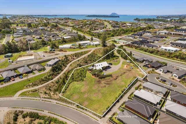 340 Omokoroa Road Omokoroa_4