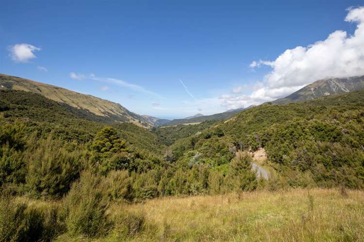 1178 Puhi Puhi Road Puhi Puhi_12