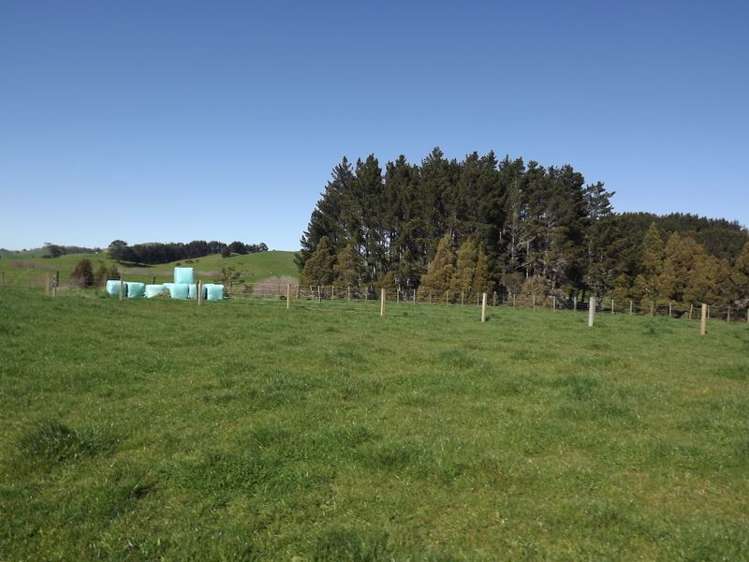 9 Mangakino Road Raglan_9