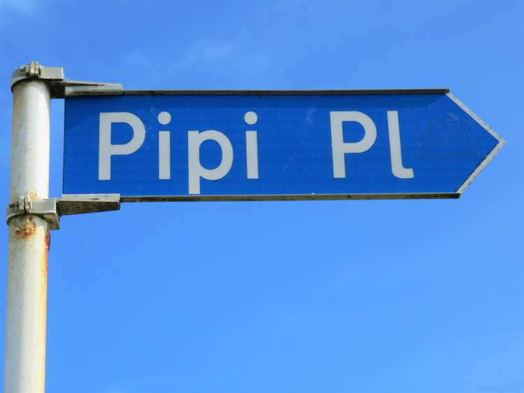 2 Pipi Place Dargaville Surrounds_8