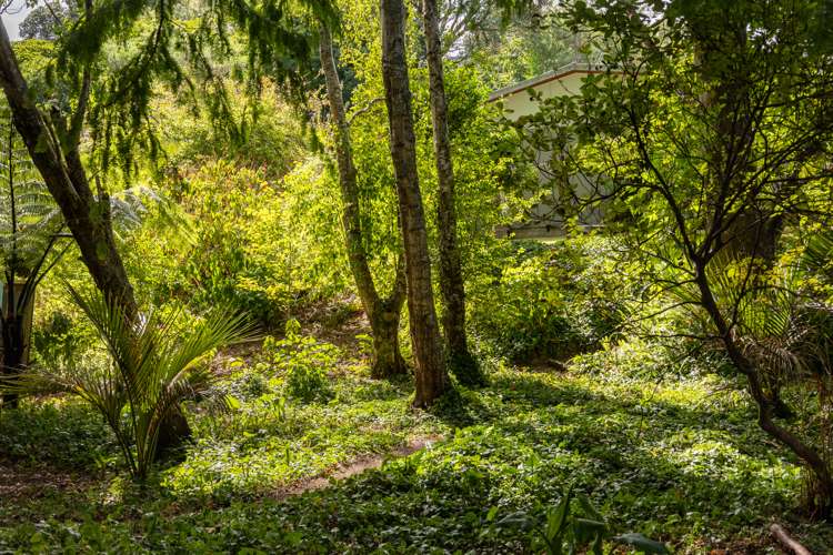 100 Leinster Avenue Raumati South_22