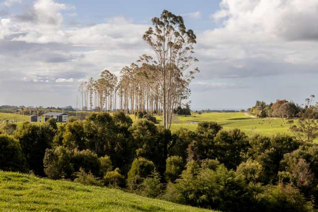 1302/3 Pongakawa Bush Road Pongakawa_2