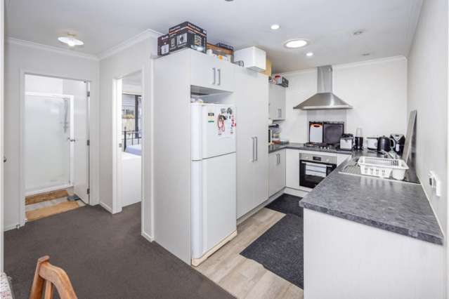 193C Massey Street Frankton_4