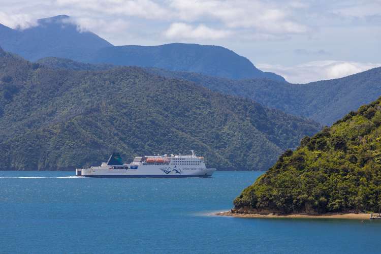 425 Port Underwood Road Whatamango Bay_22