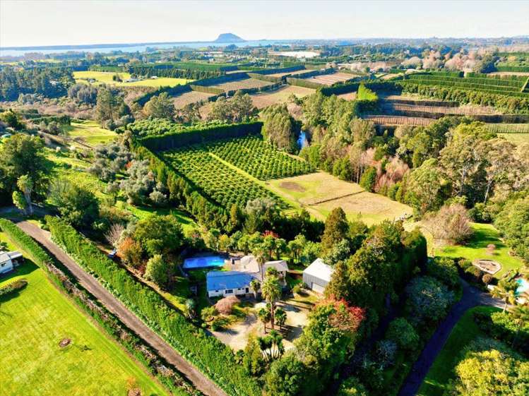 176I Snodgrass Road Te Puna_25