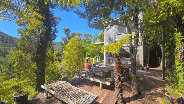 Lot 135/DP4961 North Cove Kawau Island_2