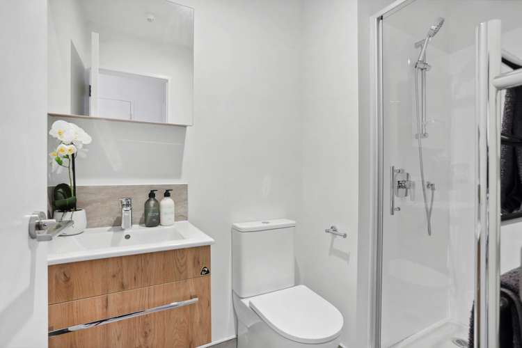 1/5 Treasure Lane Te Atatu South_5