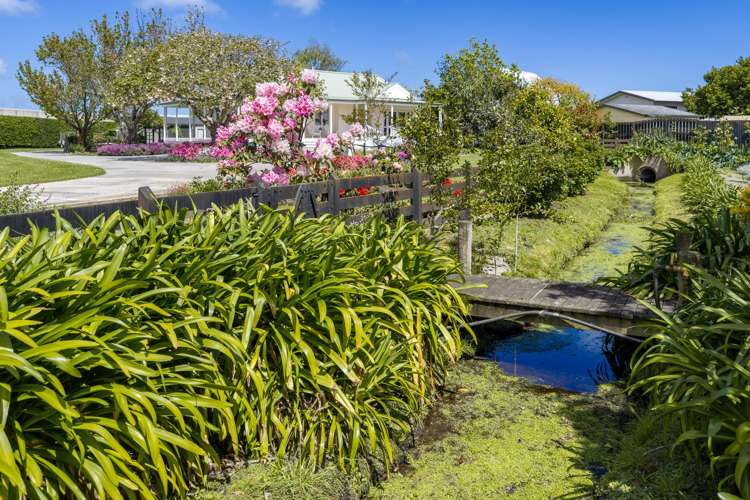 28 Campbell Avenue Paraparaumu_34