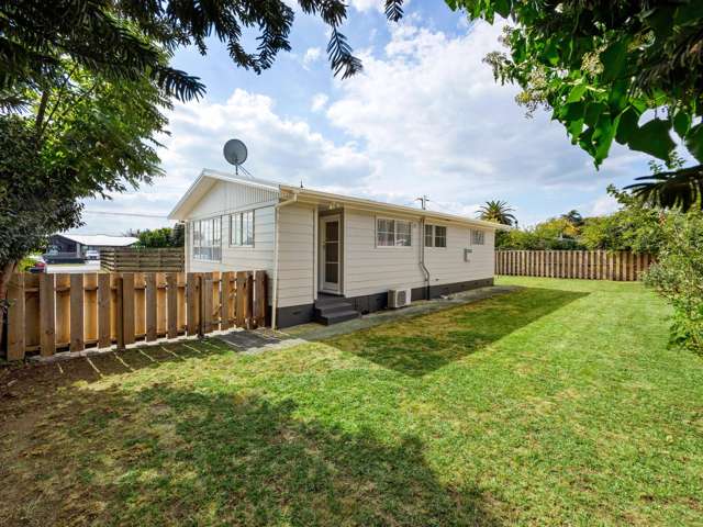 93A Grandview Road Nawton_2