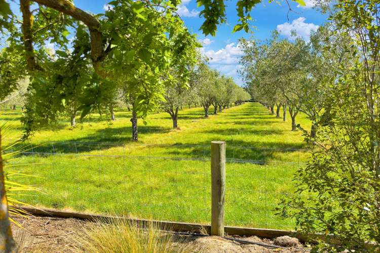 325 Georges Road Amberley_32