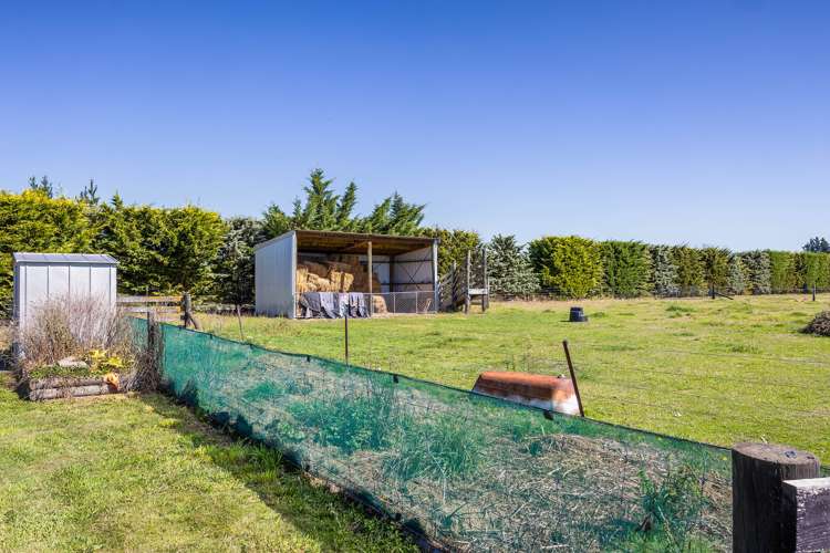 655 Downs Road West Eyreton_20