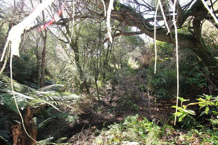 63 Martin Road Fairfield_15