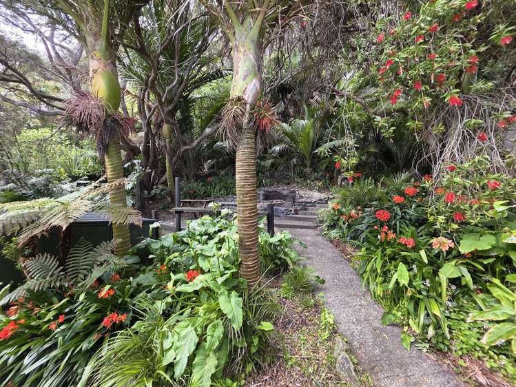 10744 State Highway 35 Waihau Bay_25