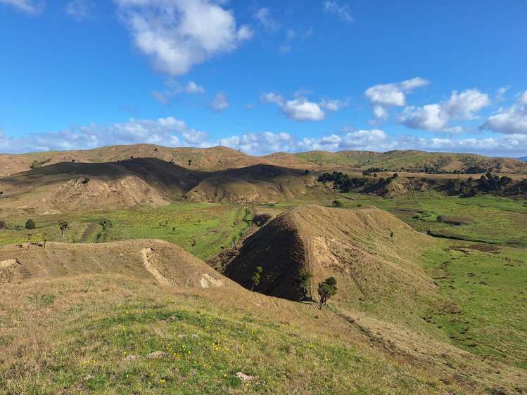 Mangaone Road Pongaroa_21