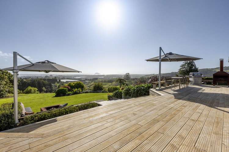 252 Whakamarama Road_1