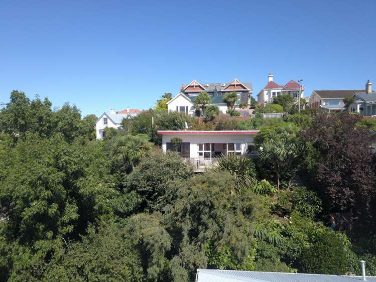 49 Sutherland Street Dunedin Central_18