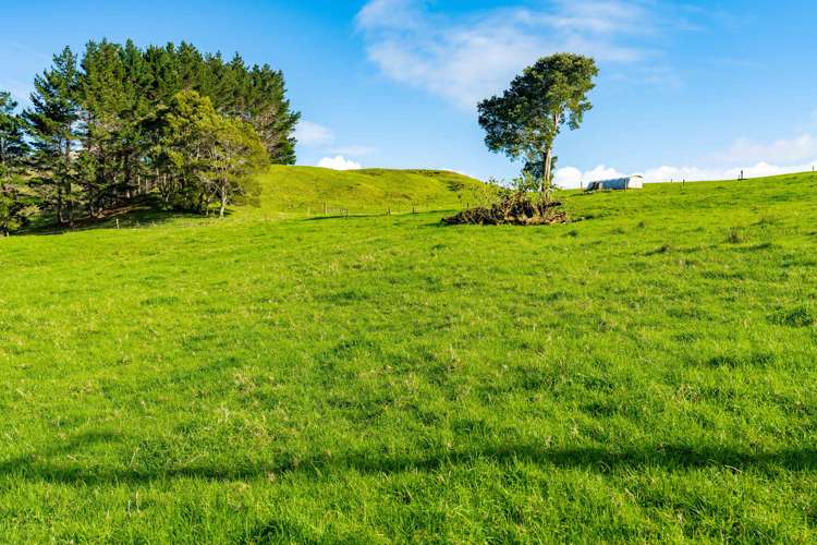 2136 Waihue Road Dargaville Surrounds_16