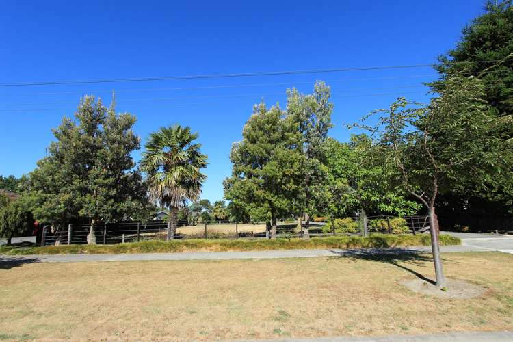 82 Colemans Road Springlands_6