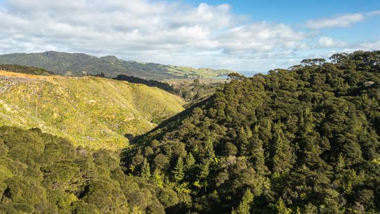 982B Manaia Road Coromandel_12