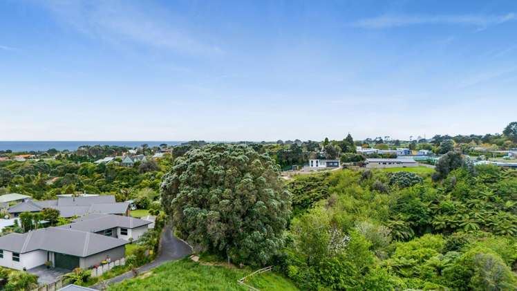 117 Wairau Road Oakura_4