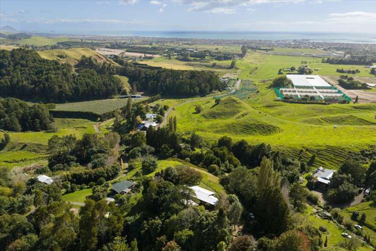 1162F Welcome Bay Road Papamoa_41