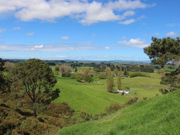 196 Hildreth Road Arapuni_16