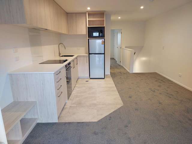 DD/20 Wilmer Street Christchurch City_3