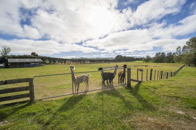 423A Te Anau Mossburn Highway Te Anau_41