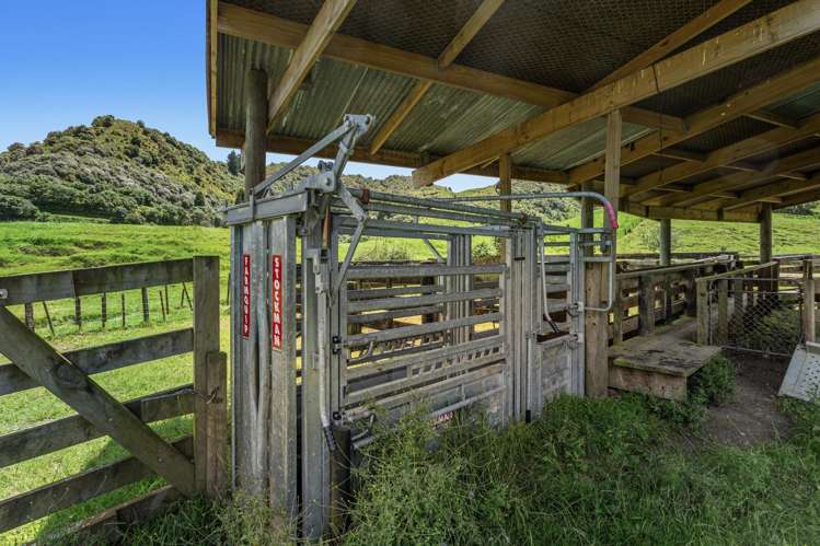 2060 Motu Road Opotiki_6